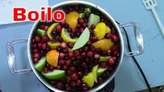 Boilo