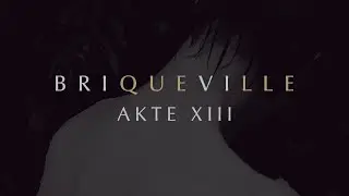 Briqueville - Akte XIII (Official Audio)