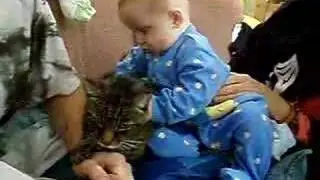 the most patient cat in the world