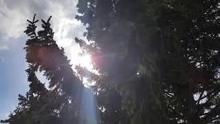 Исцеление для кровного родственника с момента зачатия до сегодняшнего дня