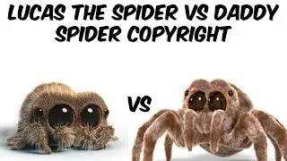 Lucas the Spider Vs. Daddy Spider Copyright Situation Explained (Who Is In The Right?)