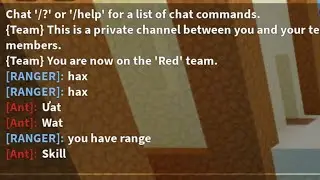 Roblox Bedwar bruh player
