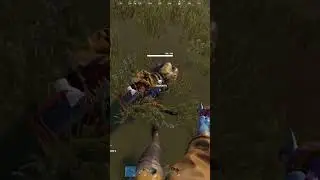 подсидел крысу в расте #rust #раст #выживание #медведь #shorts #shortvideo #rustpvp #tiktok
