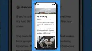 Twitter notes update that you can write notes and Blogs #1minutevideo #techtips #telugutech #twitter