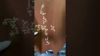 Футболка Travis Scott