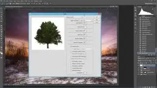 How to Make a Tree in Photoshop CC 2014
