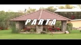 Cigla po cigla - ciglana, hektar po hektar - Tikićevo carstvo