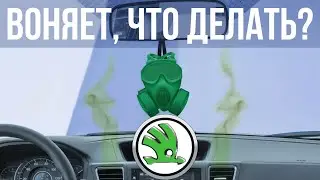 Как убрать неприятный запах в авто, на примере SKODA OCTAVIA