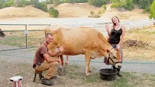 Farmers Guild BarnRaiser