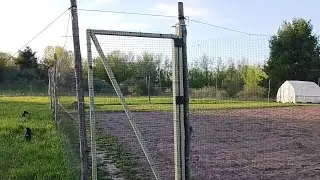 DIY Cheap & Effective Deer Fence to Protect a Vegetable Farm!🌈🧛🏾🧄