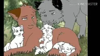 Ищем котят+капучино и северный луч