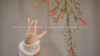 Voigtlander Nokton 50mm F1.5 MC