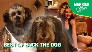 Best Of Buck The Dog | Married With Children