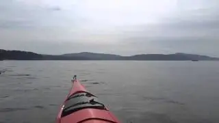 You won't believe what's in the water