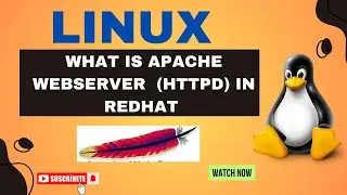 Linux Apache Web Server HTTPD | What Is HTTPD And How To Set Up In RedHat For Beginners | Part -1