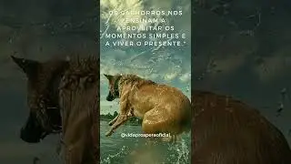 Aprenda a VIVER os MOMENTOS SIMPLES e viva no PRESENTE!