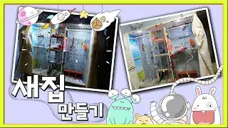 새집만들기