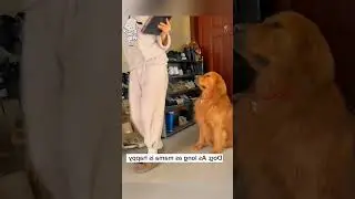 Even dog can't handle that 😭#dog #cat #funny #viral #tiktok #funnyanimals #singer #cute #animals