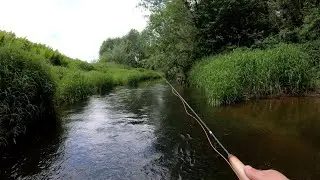 Chub of small rivers. Part I. Fly fishing for chub.