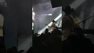Bailes Perrones en Estados Unidos