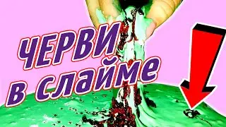 ШОК! СЛАЙМ С  ЧЕРВЯМИ... Червивый слайм