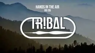 Tomsize - Hands In The Air (ft. Ragga Twins)
