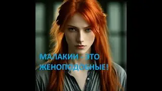 Заблуждение церквей: прелюбодейство, блуд, малакийство (рукоблудство), чистота брачного ложа ￼