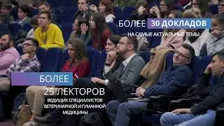 реклама конференции 3