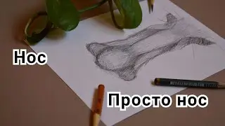Как нарисовать нос. Подробный урок по рисунку носа