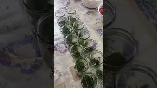 продолжаю заготовки заготавливать))))