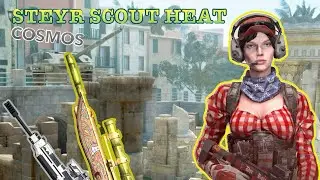 Warface/GO STEYR SCOUT HEAT&COSMOS ​