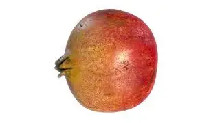 Pomegranate - 4k scanned 3d model