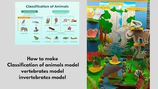 classification of animals model/ vertebrates model/ invertebrates model / animal habitats model