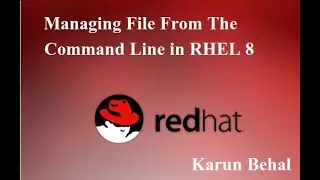 Managing File from Command Line in RHEL 8 By Karun Behal