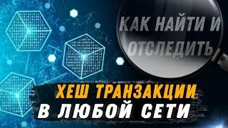 Где НАЙТИ и как Проверить Хеш Транзакцию(TXiD) в ЛЮБОЙ сети на биржах BINANCE / BYBIT / BINGX