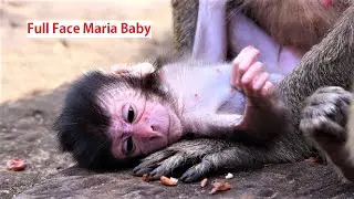 Wow Looks Adorable and Cute New born baby Maria, The baby Face looks like king Skippy