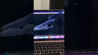 HSV Color Detection w/ OpenCV 
