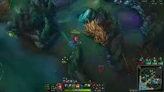 Funny Lee Sin Visual Bug