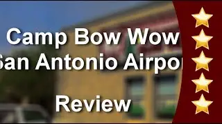 Camp Bow Wow San Antonio Airport San Antonio Outstanding Five Star Review by Rebecca Broughton