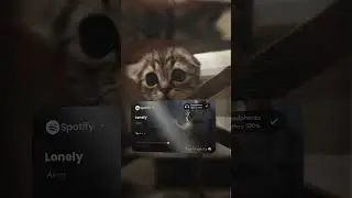 Spotify card edit xml preset on lonely song.     