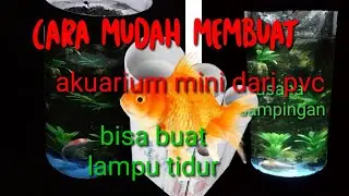 Sensasi baru Akuarium mini dari PVC || ide usah ikan hias.