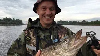 Рыбалка на реке Тавда и Щука на 5 кг ломает подсачек.