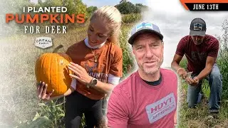 I am Planting Pumpkins for Deer | Dream Farm w/ Bill Winke
