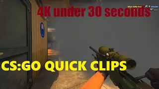 4K under 30 seconds? - CS:GO Highlights