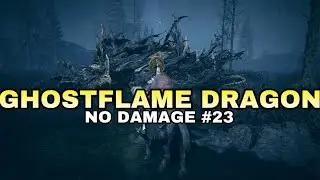 Ghostflame Dragon (No Damage) Elden Ring Shadow of The Erdtree