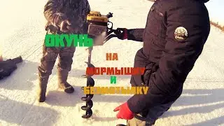 ОКУНЬ В ГЛУХОЗИМЬЕ! ЗИМНЯЯ РЫБАЛКА
