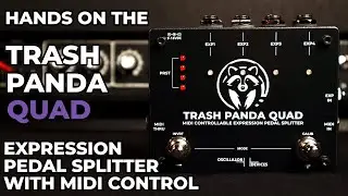 Trash Panda Quad - MIDI Controllable Expression Splitter - Hands-On