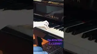 🎹Need the exercise?▶️#106:Op.821,160 Eight measure Exercise- C.CZERNY#shorts #piano