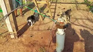 Bombeo solar de 1 HP