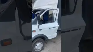 никогда не пукай в газели